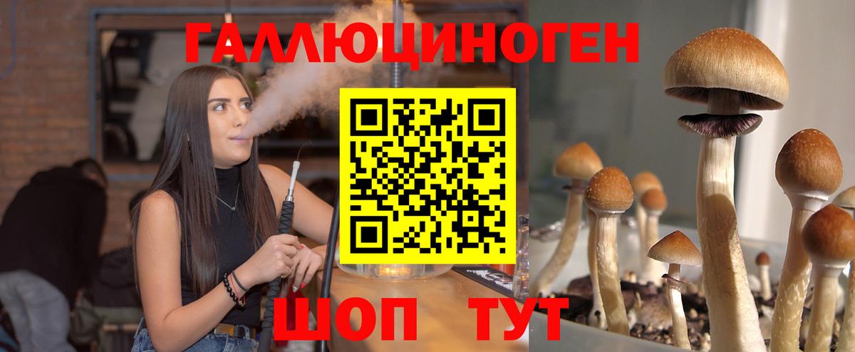 Псилоцибиновые грибы MAGIC MUSHROOMS  Вход с VPN  хочу наркоту  Долгопрудный  Галлюциногенные грибы ЛСД 